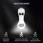 Charger l'image dans la galerie, Éclairage Automatique Intelligent
